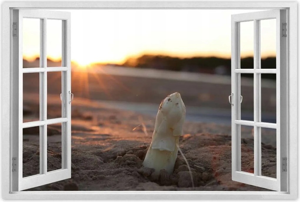 Poszterek 60x40 Spárga növekedés