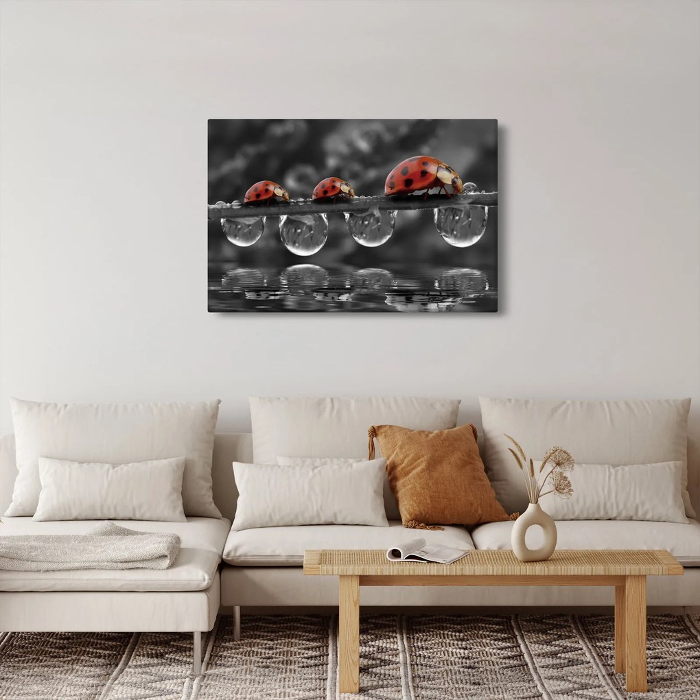 Kép - Napraforgó, fekete-fehér (90x60 cm)