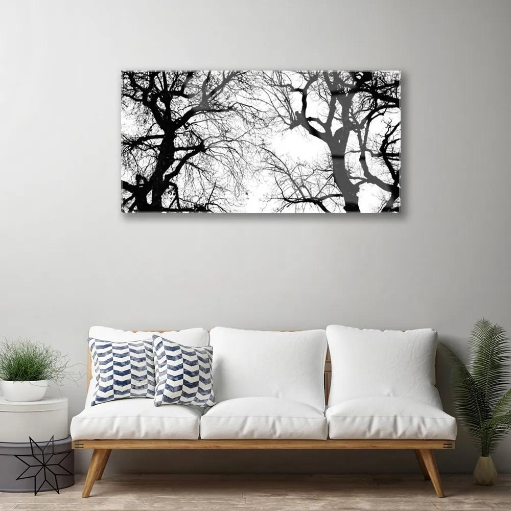 Akrilkép Fák Természet fekete-fehér 120x60 cm