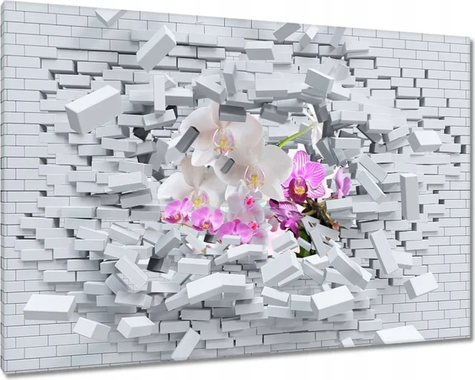Vászonkép 90x60 Orchidea a falban
