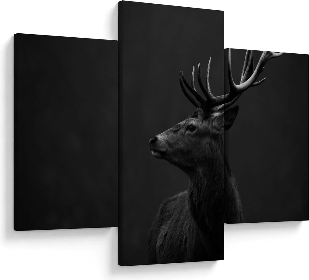 Kép - Egy szarvas portréja (90x60 cm)