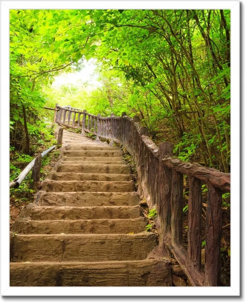 Poszterek keretben 40x50 Lépcsők az erdőbe