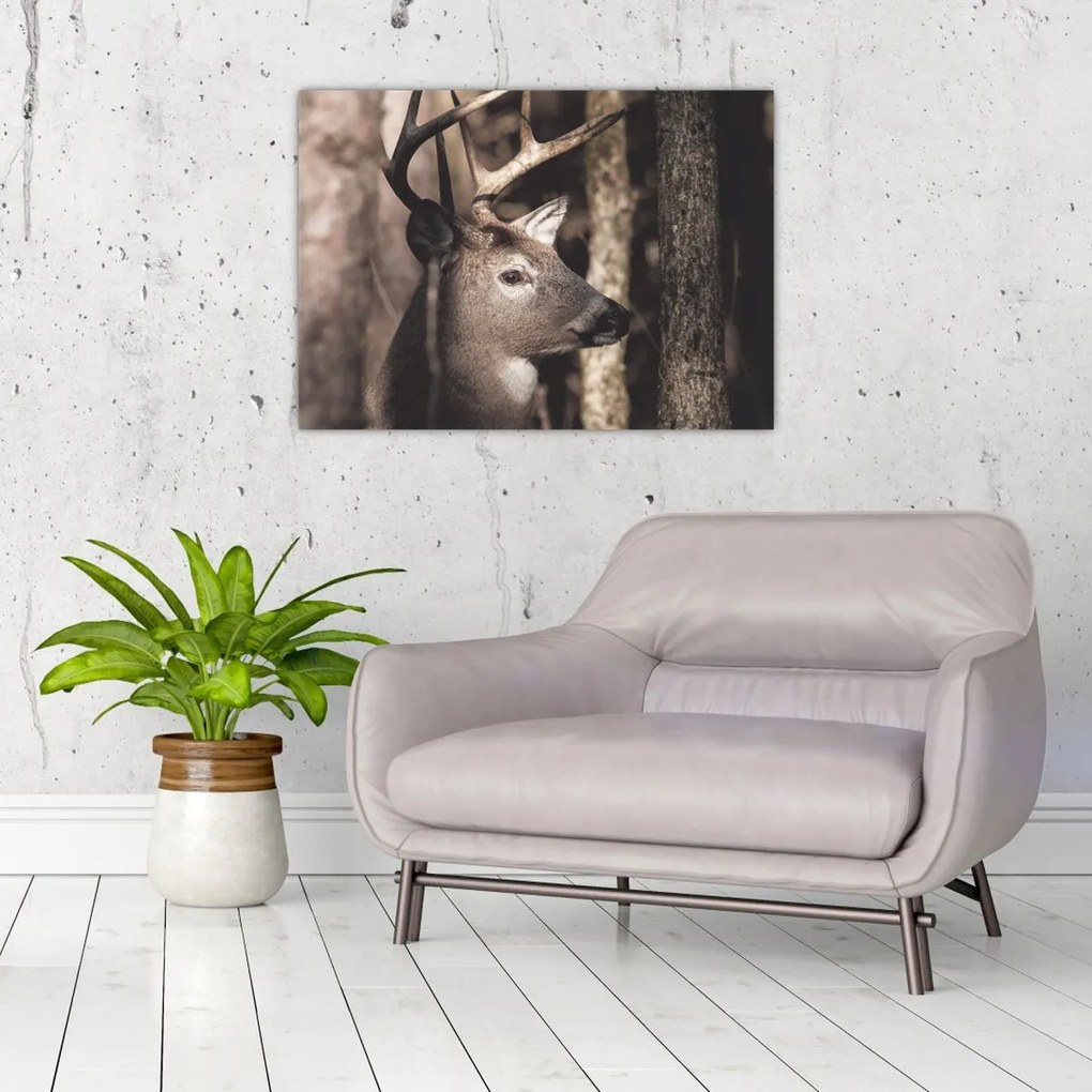 Kép - Szarvas az erdőben (70x50 cm)