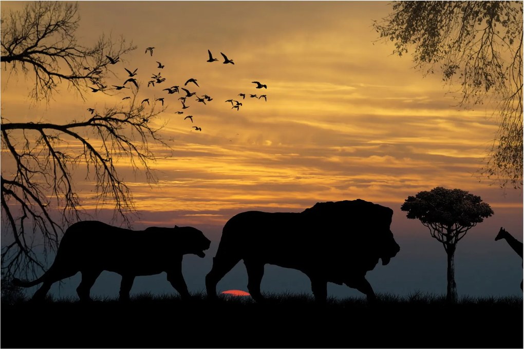 Safari képe (90x60 cm)