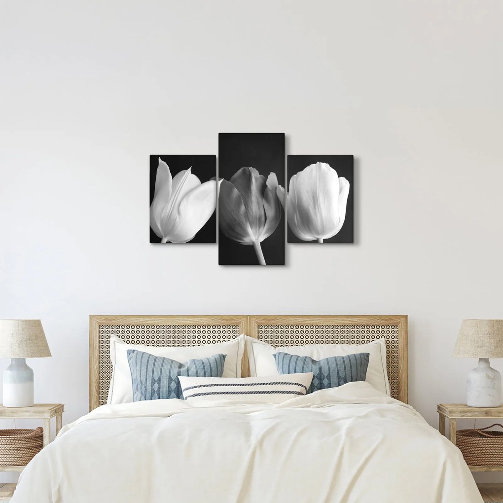 Kép - fekete-fehér tulipán virág (90x60 cm)