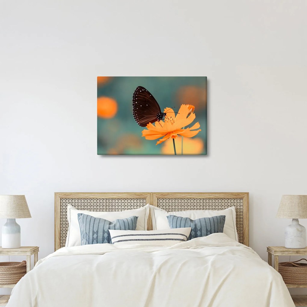 Kép - pillangó narancssárga virágon (70x50 cm)