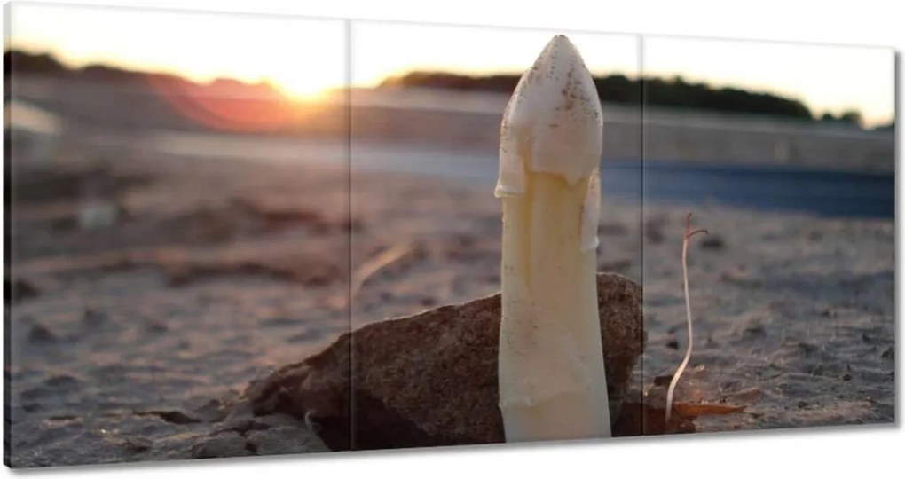 Festmények 120x60 Első spárga