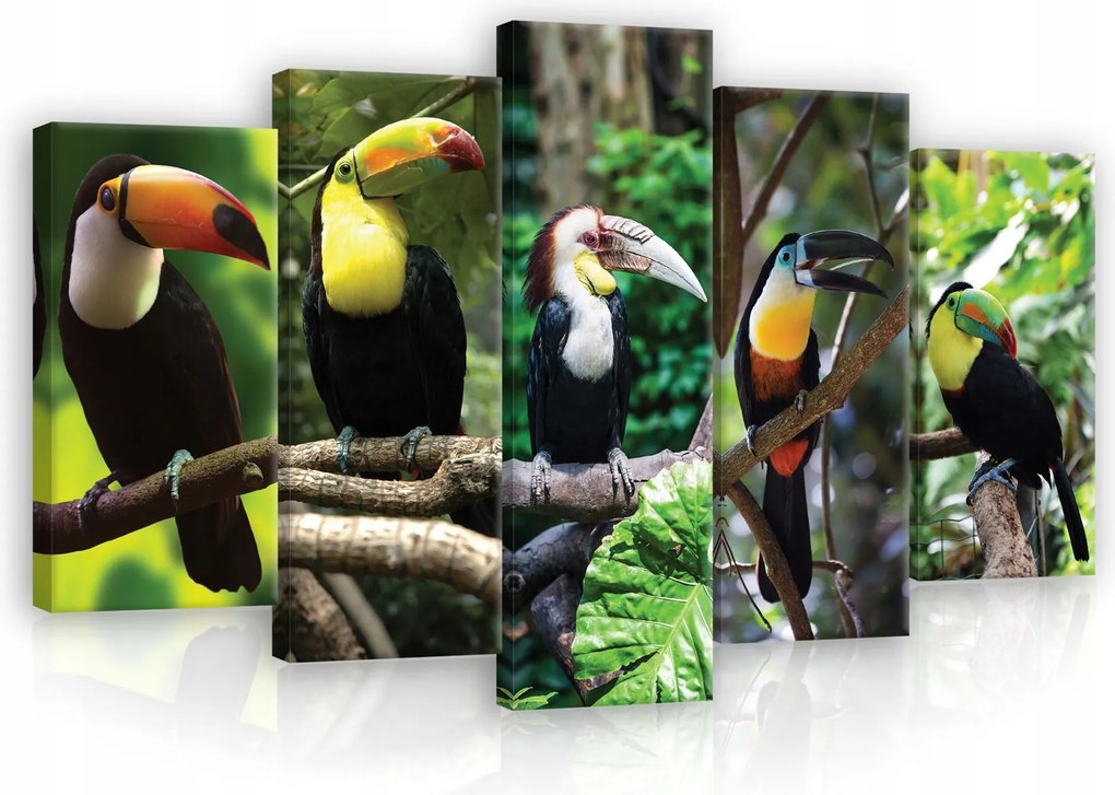 Vászonkép 100x60 Tukánok trópusok egzotikus madarak erdő dzsungel természet színek dekoráció