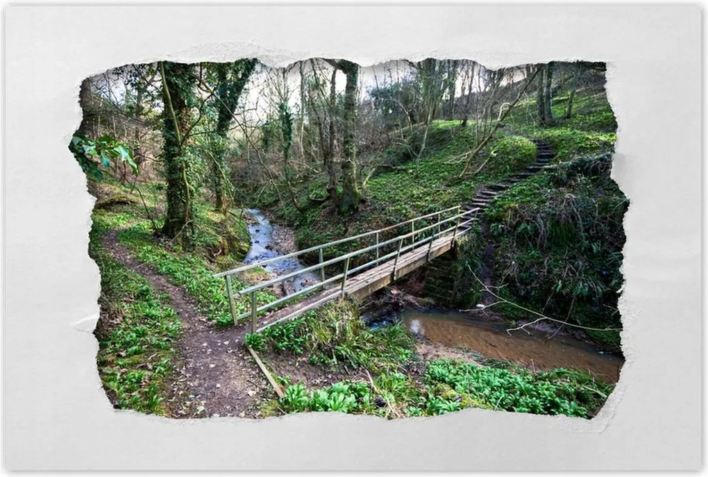 Poszterek 90x60 Híd a parkban