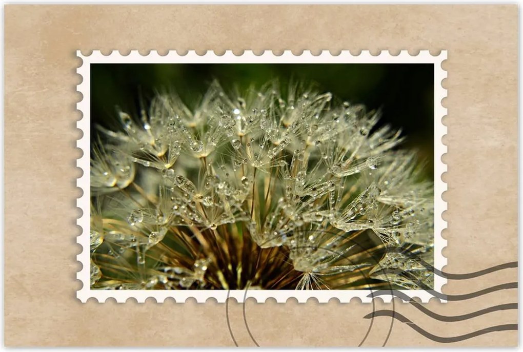 Poszterek 120x80 Pitypang Virág Virágok