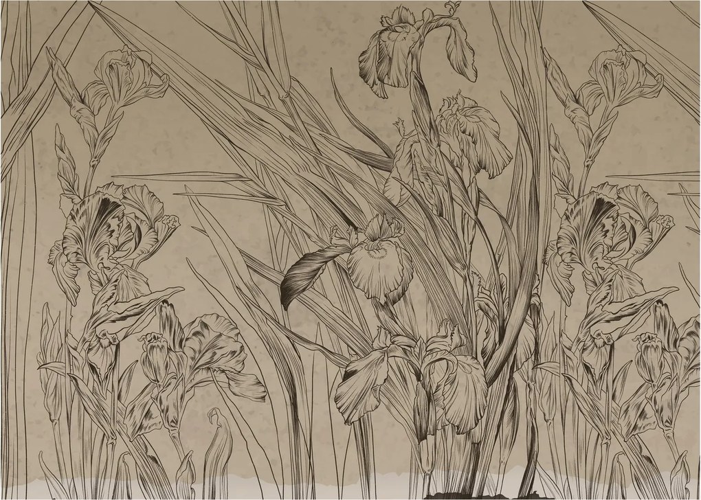 Kép - A növények körvonalai (70x50 cm)