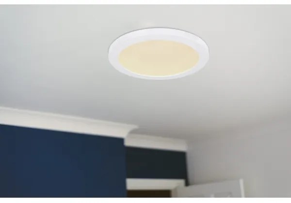 Globo 12379-24W - LED Mennyezeti lámpa LASSE LED/24W/230V