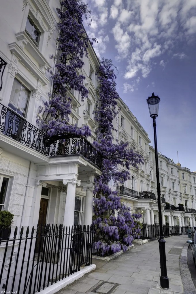 Poszter 20x30cm Ház a Portobello úton, Assaf Frank