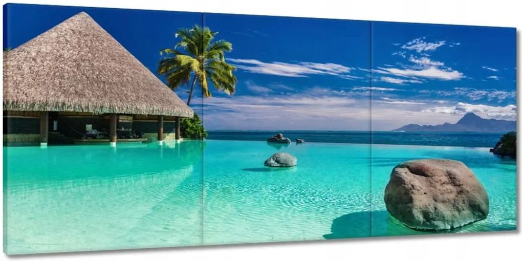 Vászonkép 150x70 Trópusok Tájkép Pálmafák