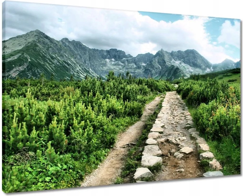 Vászonkép 70x50 Kő út Tátra