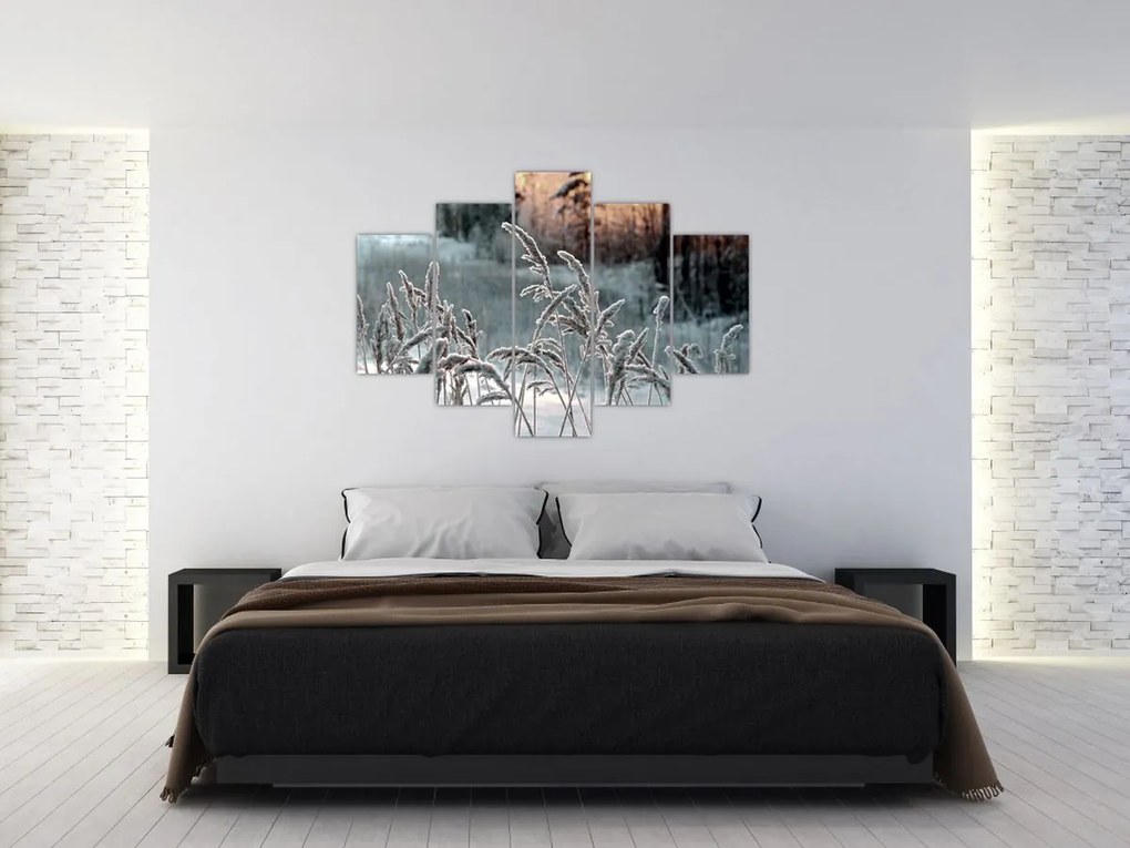 Kép - Fagyott rét (150x105 cm)