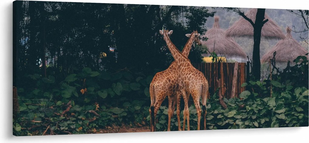 Két zsiráf képe (120x50 cm)