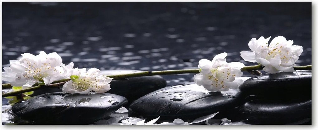 Modern üvegpanel a konyhába Cseresznyevirág XXL