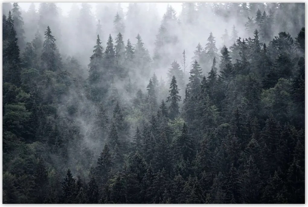 Poszterek 120x80 Ködös hegyi táj