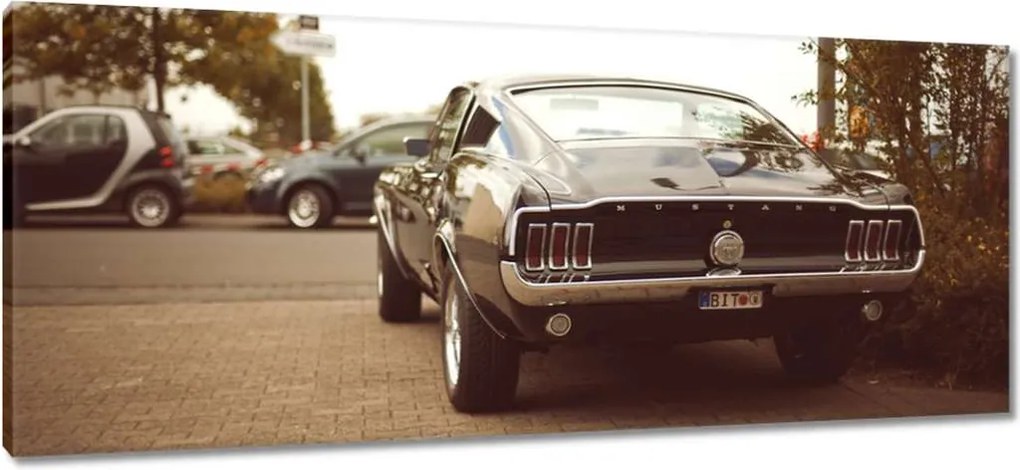 Képek 100x40 Vintage fotó Ford Mustang