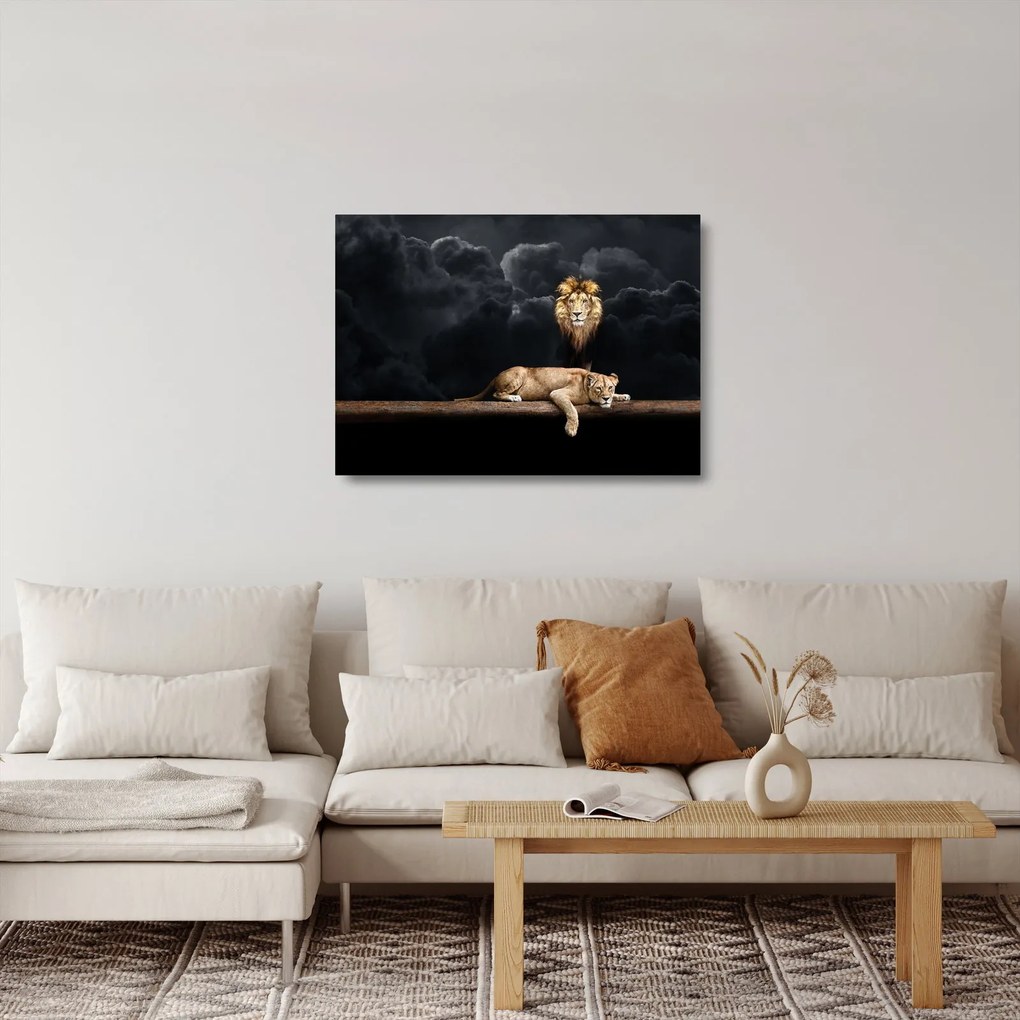 Kép - oroszlán és a nőstény oroszlán a felhőkben (üvegen) (70x50 cm)