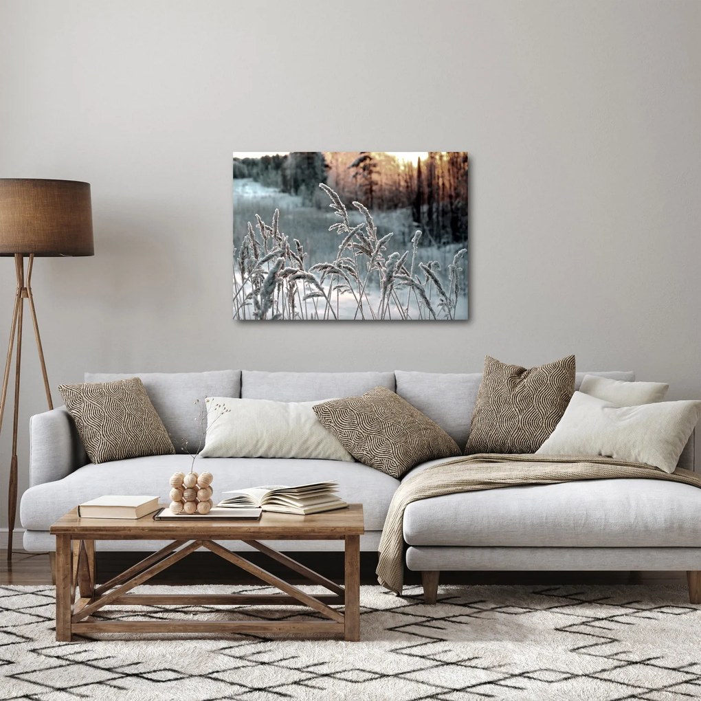 Kép - Fagyott rét (70x50 cm)