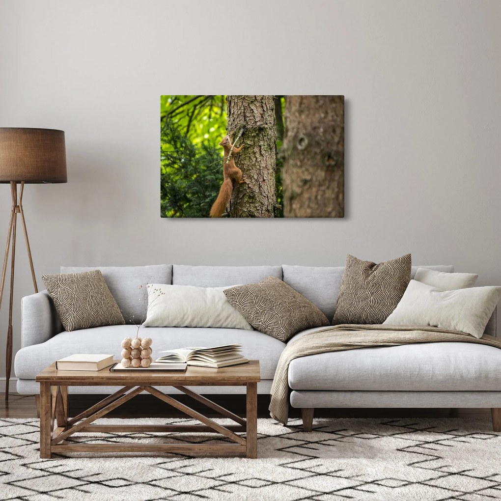 Kép - Mókus (90x60 cm)