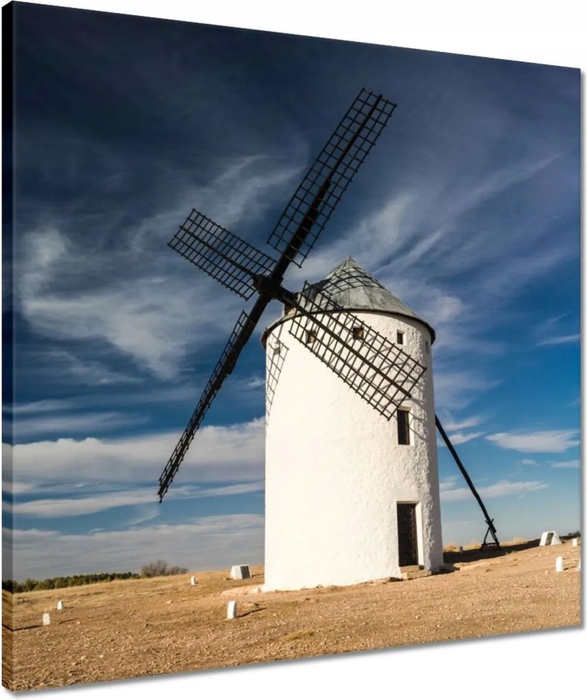 Vászonkép 50x50 Szélmalom Fa ásók