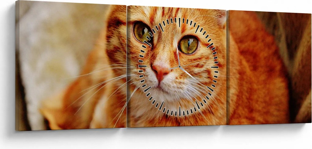 Egy fekvő macska képe (órával) (90x30 cm)