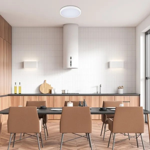 Rabalux 71428-LED Dimmelhető fürdőszobai lámpa ALENZO LED/24W/230V IP44 fehér + távirányító