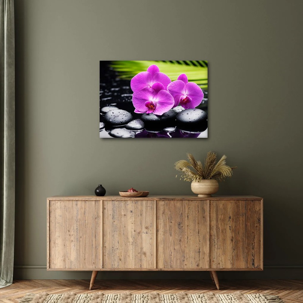 Kép - Orchideák (70x50 cm)