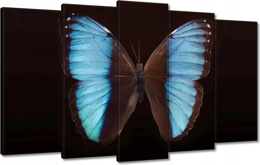 Vászonkép 100x60 Kék pillangó