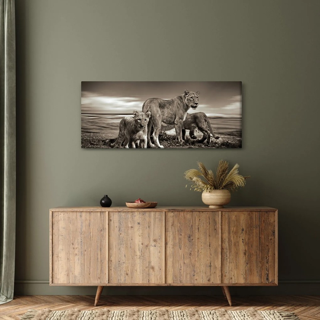 Fekete fehér tigris képe (120x50 cm)
