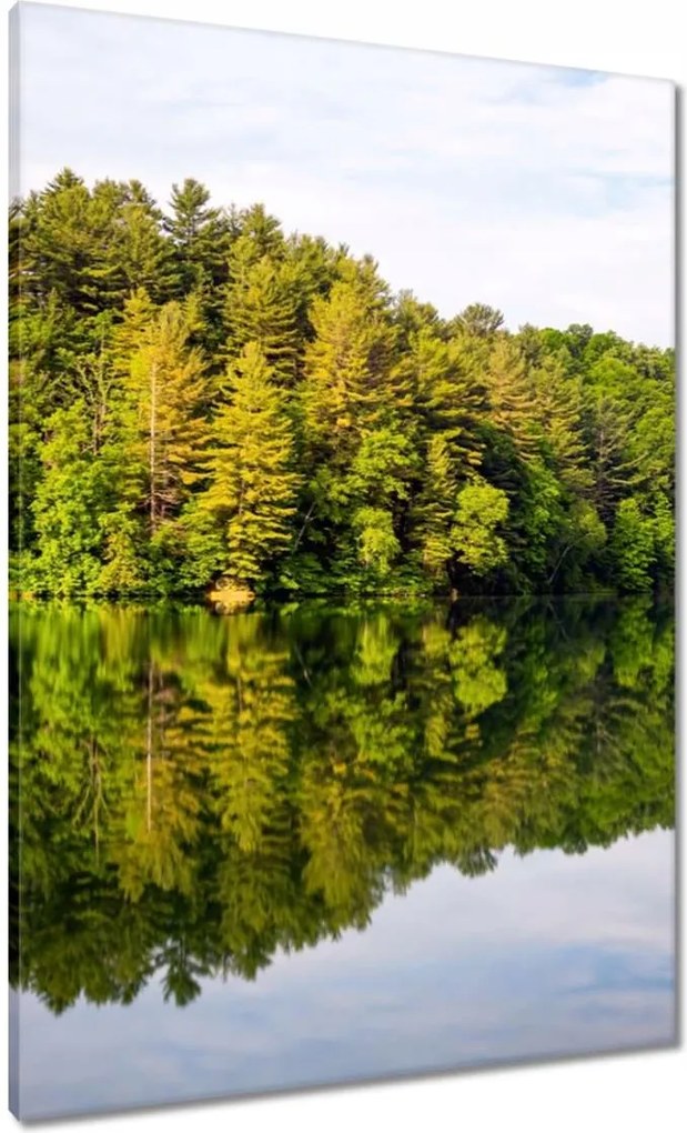 Vászonkép 70x100 Erdő Tó Felhők