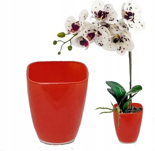 Virágcserép Orchidea fedél üveg Szép Narancssárga