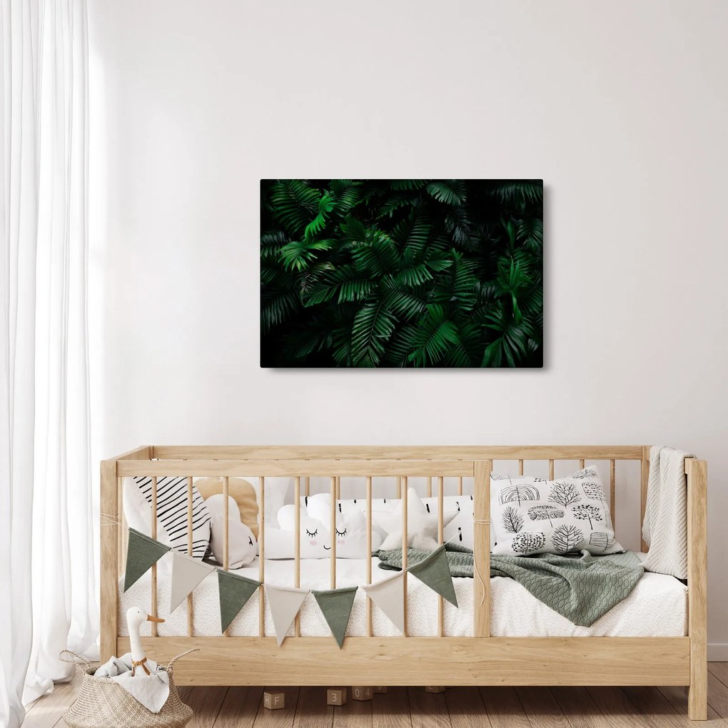Kép - trópusi páfrány (90x60 cm)