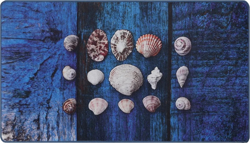 Seashell (80 x 100)