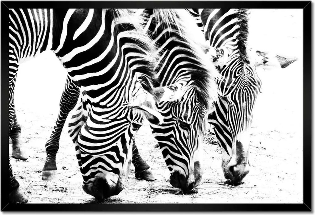 Poszter keretben 60x40 Zebra csíkos