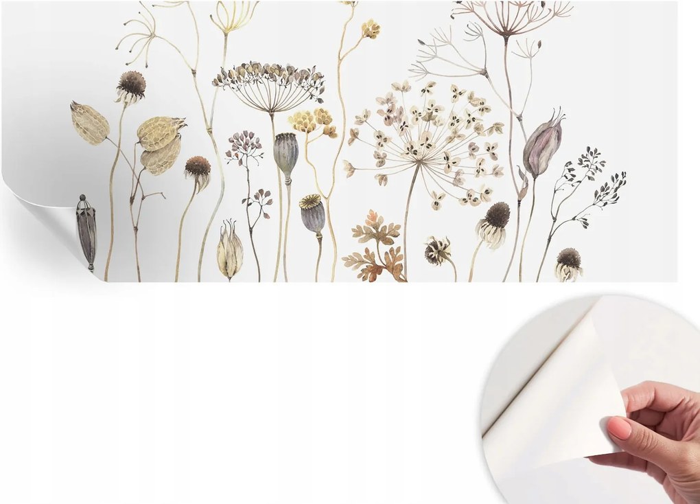 Öntapadós Dekoratív Fotótapéta Hálószobába Mezei virágok 250x104 cm