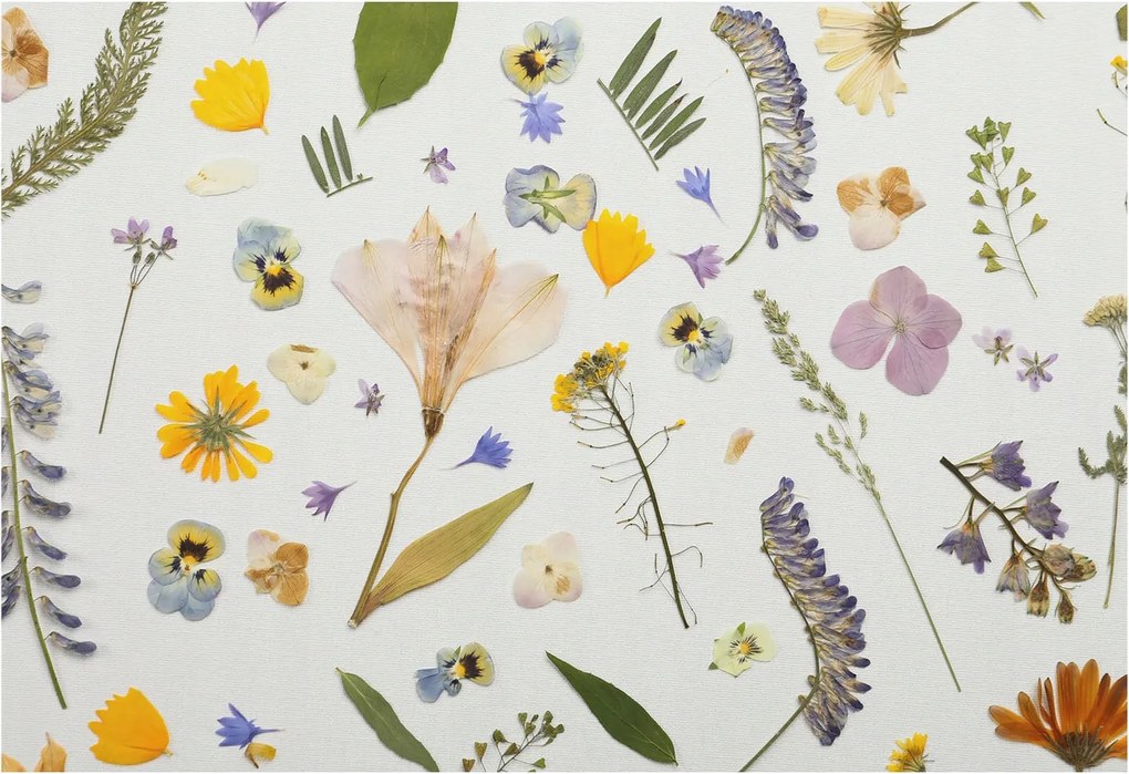 Fotótapéta Flizelin Dekoratív Hálószoba Tavaszi virágok 152x104 Ragasztó