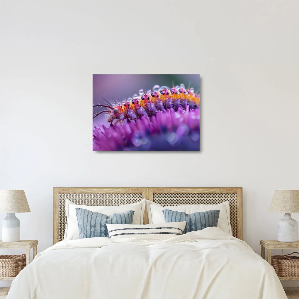 Üveg kép - Caterpillar (70x50 cm)