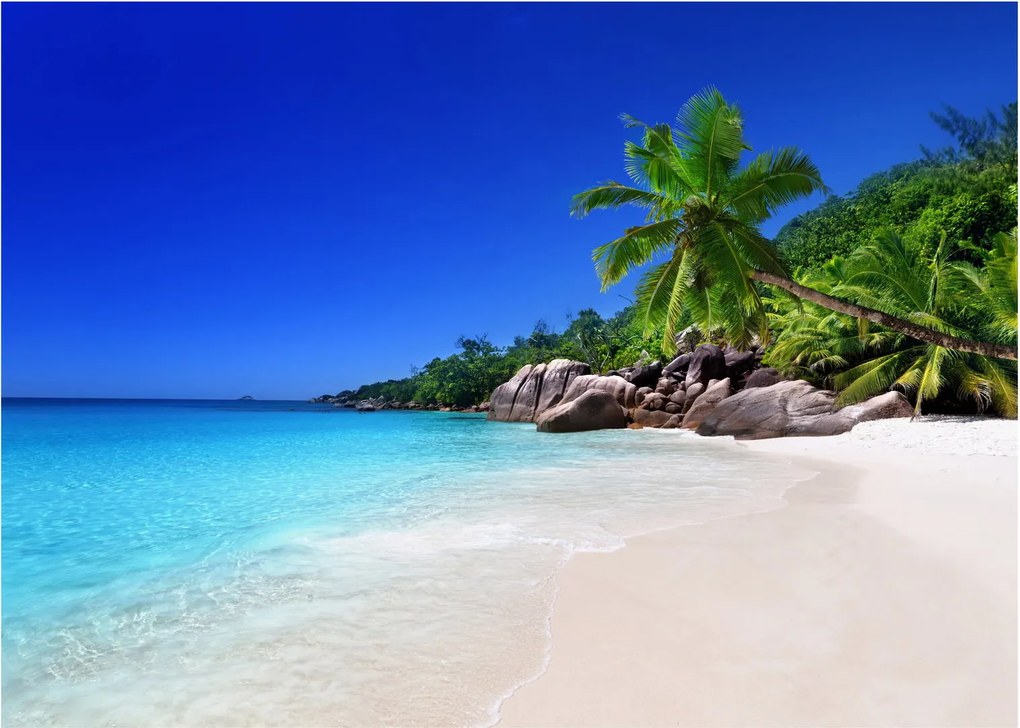 Kép a strandról a Praslin szigeten (üvegen) (70x50 cm)