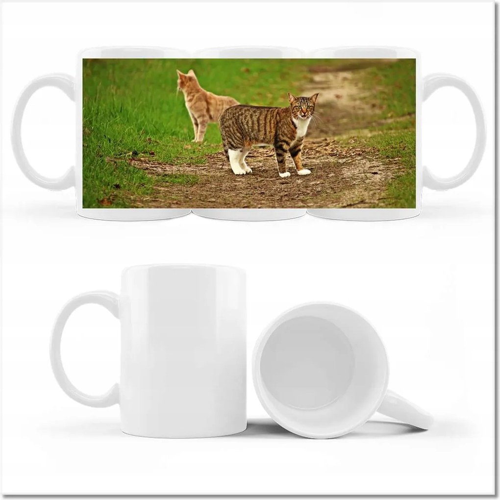 Fotó bögre Macska Cicák