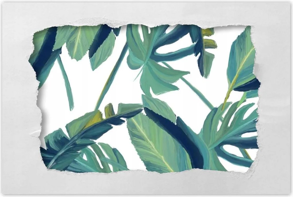 Poszter 60x40 Monstera Levelek levél