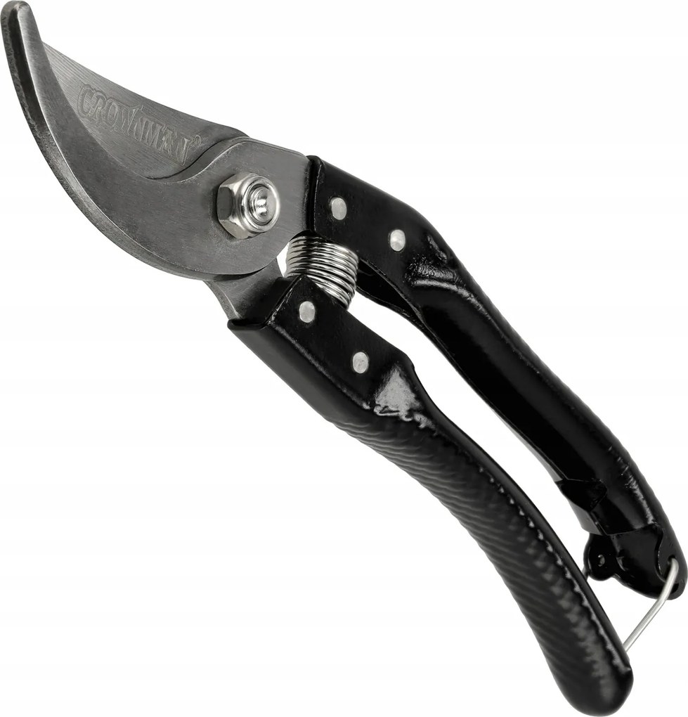 Metszőolló Bokrok Virágainak Ágaihoz Éles Mona Rugó Robusztus