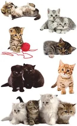 Matrica, papír, 3 ív, 76x120 mm, AVERY ZWECKFORM, Z-Design No.55971, játékos kölyök cicák (AY55971)