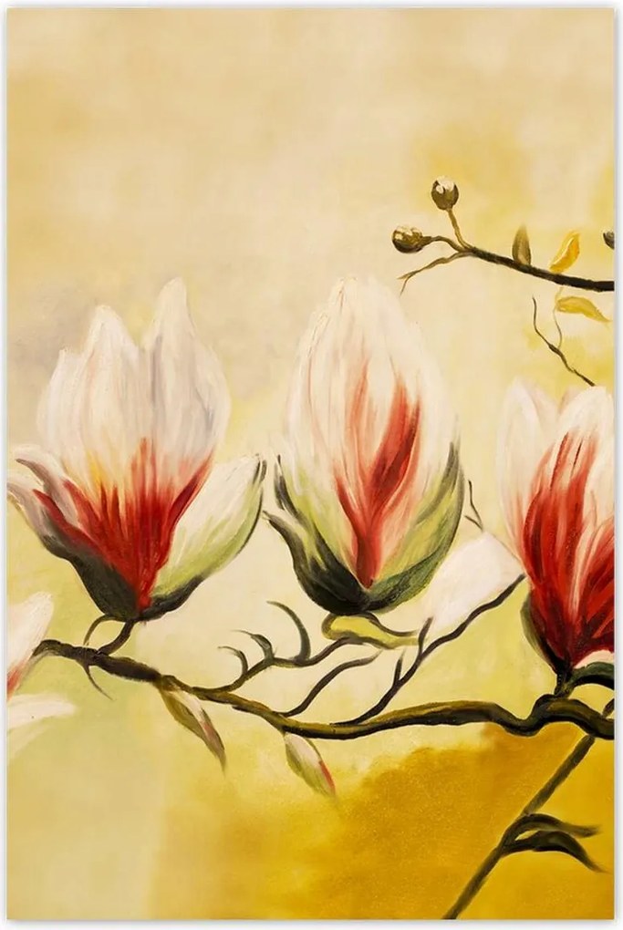 Poszterek 80x120 Magnólia