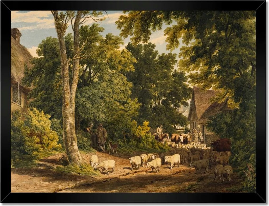 Poszterek keretben 40x30 Bárányok bárányok