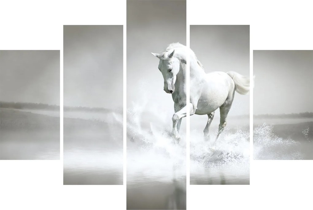 Kép - Fehér ló (150x105 cm)