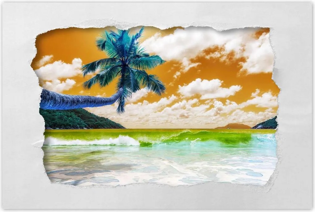 Poszterek 120x80 Trópusok Tájkép Pálma